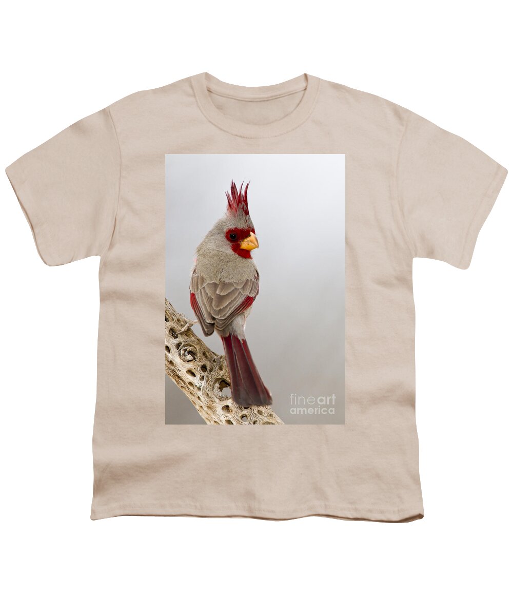 Pyrrhuloxia Youth T-Shirt featuring the photograph Looking back Pyrrhuloxia by Bryan Keil