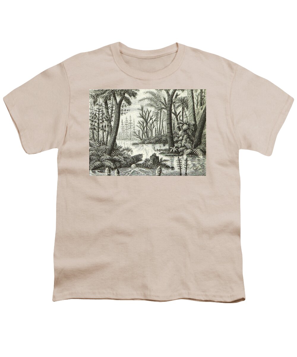 Historic Youth T-Shirt featuring the photograph Prehistoric Flora, Carboniferous by British Library
