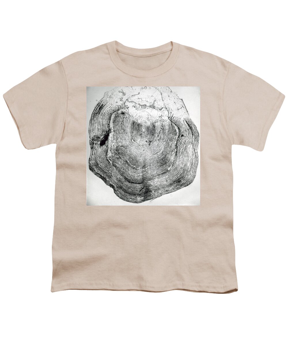 Actinopterygii Youth T-Shirt featuring the photograph Salmon Scale, Tem by Eric Grave
