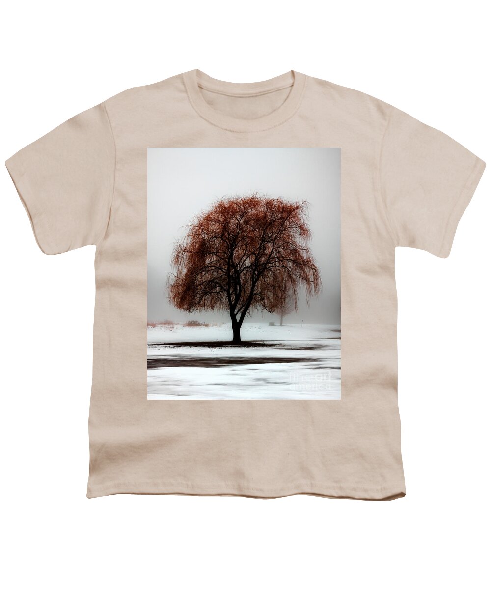 Weeping Willow Youth T-Shirt featuring the photograph Sleeping Willow by Rick Kuperberg Sr