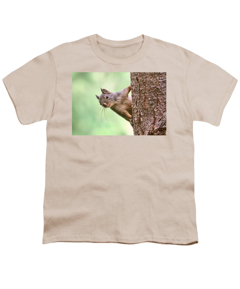 Squirrels Youth T-Shirt featuring the photograph Squirrel in a Tree by Peggy Collins