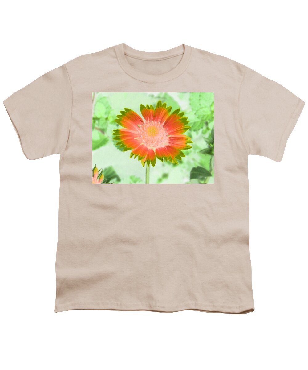 Flower Youth T-Shirt featuring the photograph Sunburst - PhotoPower 2250 by Pamela Critchlow