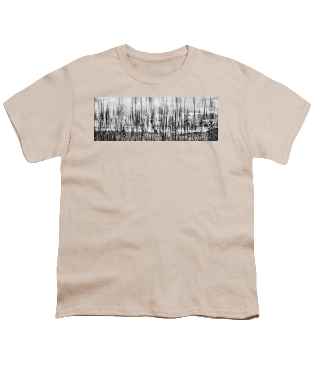 Forest Youth T-Shirt featuring the photograph The Edge Of The Clear-cut by Theresa Tahara