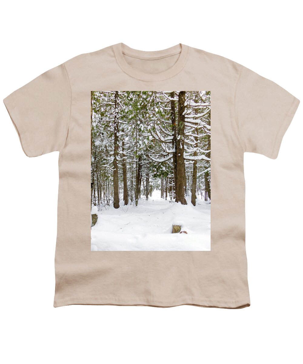 Winter Picture Youth T-Shirt featuring the photograph Winter Morning by Gwen Gibson