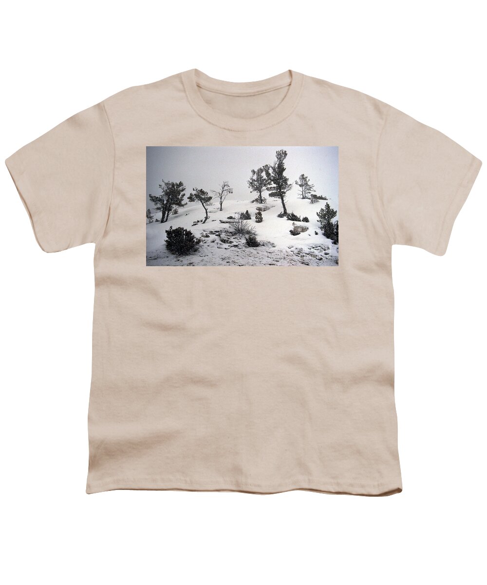 Winter Youth T-Shirt featuring the photograph Yellowstone Winter Blanket by Sharon Elliott