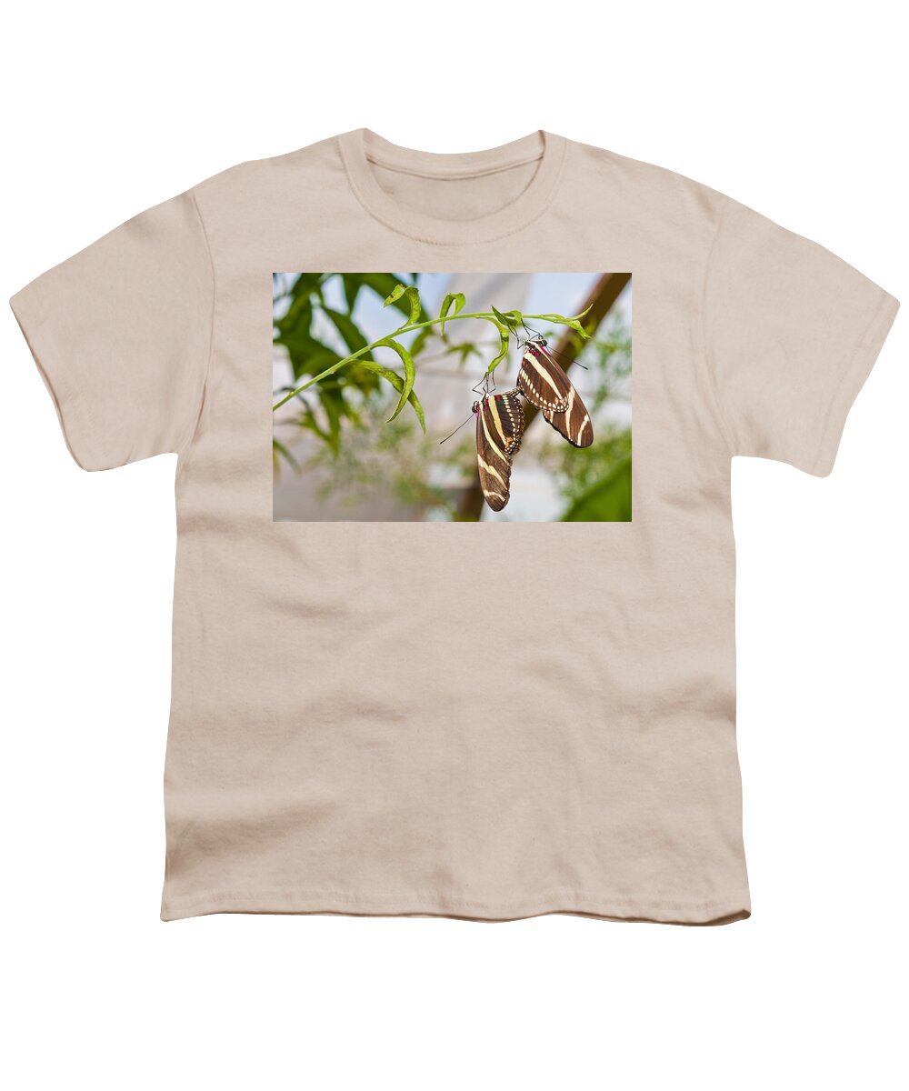 Zebra Longwing Youth T-Shirt featuring the photograph Zebra Longwing Butterflies Mating by Maj Seda