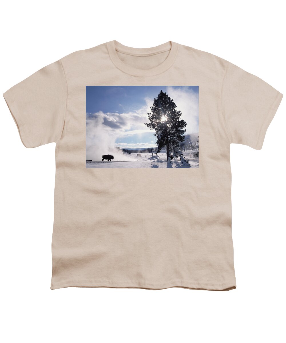 00174315 Youth T-Shirt featuring the photograph American Bison In Winter Yellowstone #1 by Tim Fitzharris