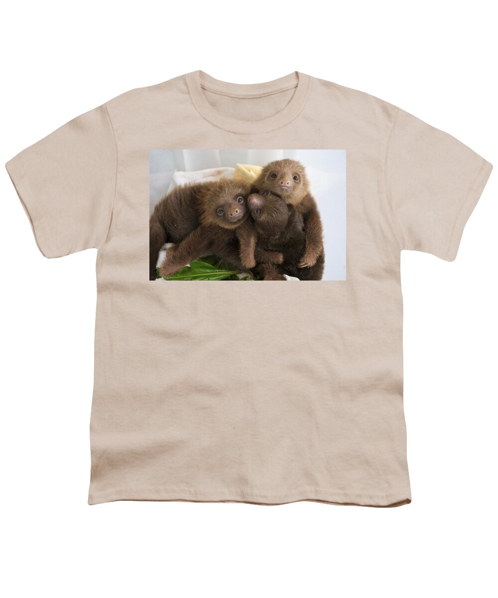 Mp Youth T-Shirt featuring the photograph Hoffmanns Two-toed Sloth Choloepus #1 by Suzi Eszterhas