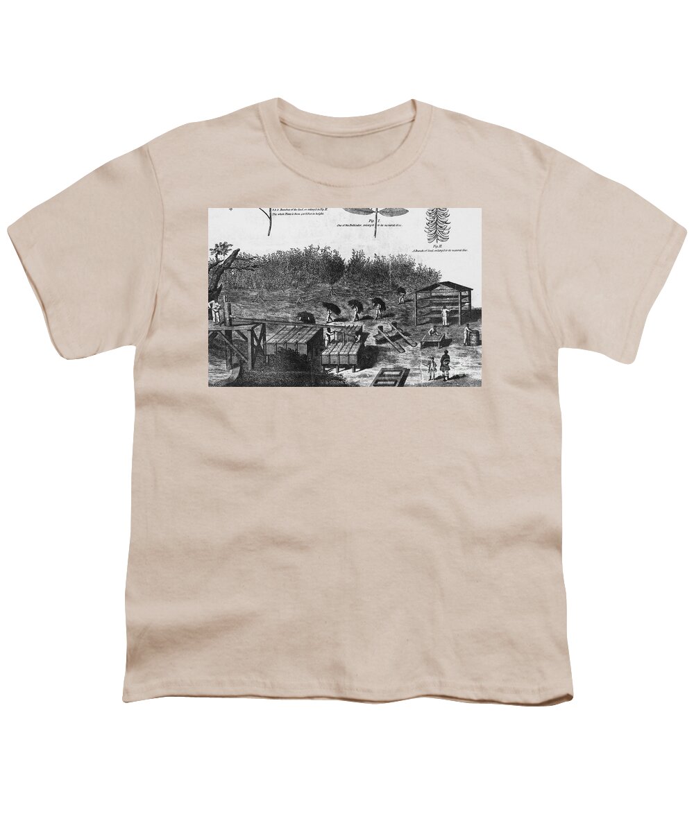 Indigo Culture Youth T-Shirt featuring the photograph Indigo Culture by Photo Researchers