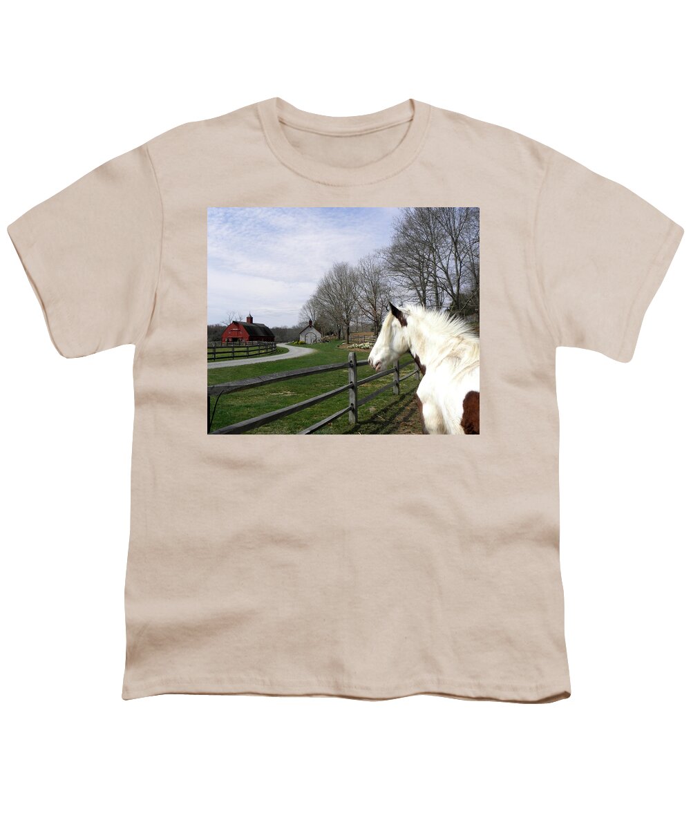 Gypsy Vanner Horse Youth T-Shirt featuring the photograph LOVE my home by Kim Galluzzo