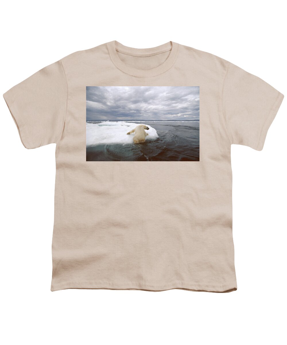 Mp Youth T-Shirt featuring the photograph Polar Bear Ursus Maritimus Hauling by Flip Nicklin