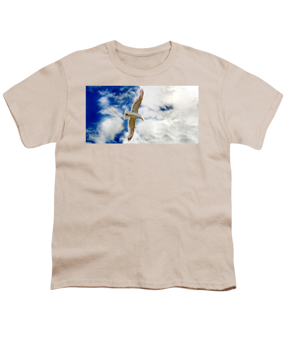 Seagul Youth T-Shirt featuring the photograph Seagul gliding in flight by Simon Bratt