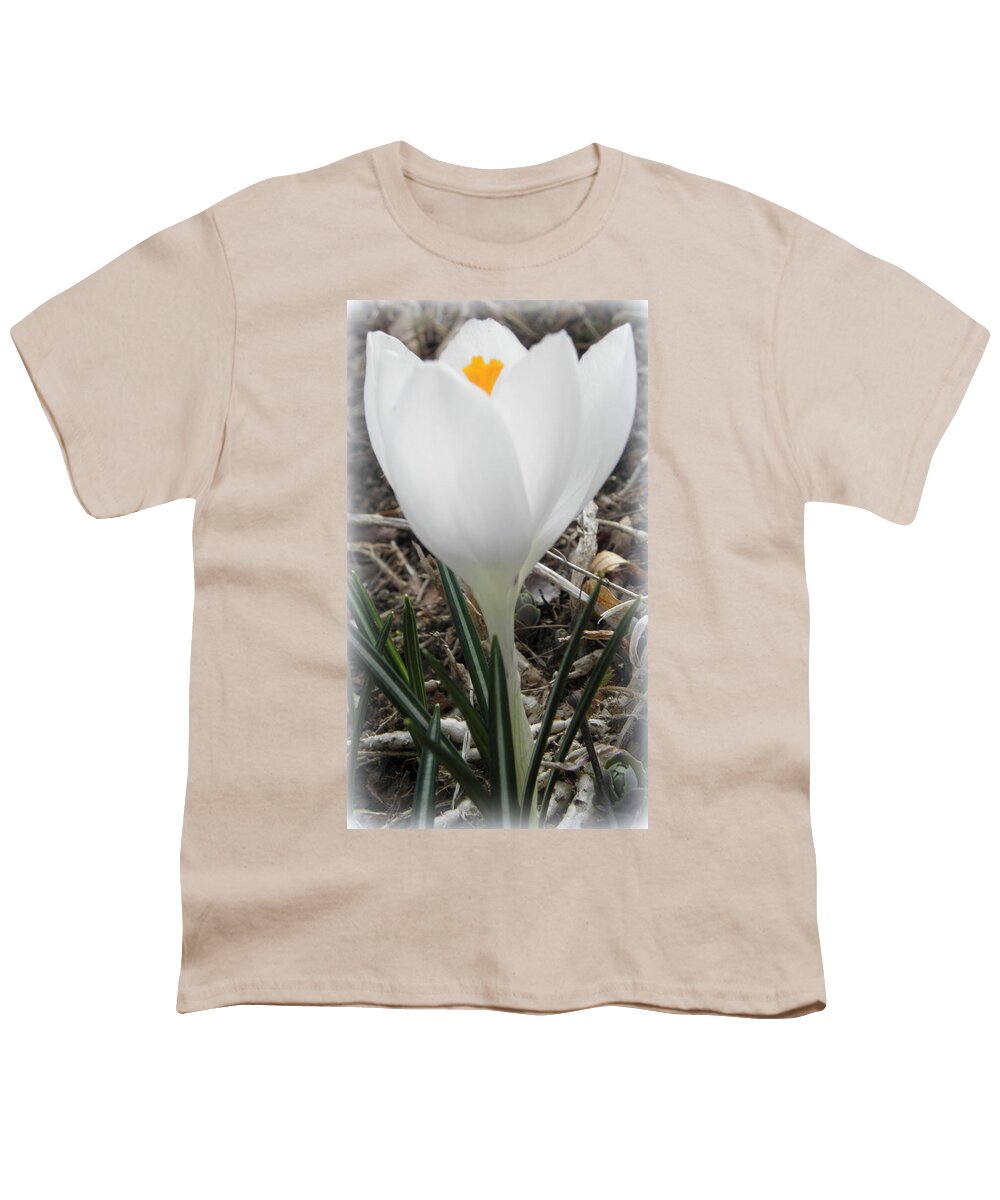 Crocus Youth T-Shirt featuring the photograph St Pattys Day Bloom by Kim Galluzzo