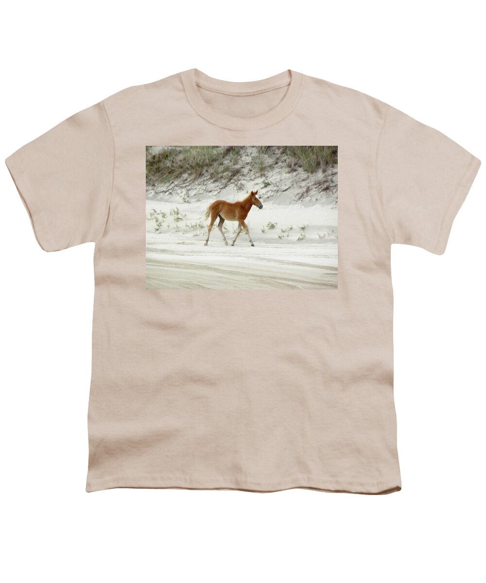 Foal Youth T-Shirt featuring the photograph Wild Spanish Mustang Foal of the Outer Banks of North Carolina by Kim Galluzzo