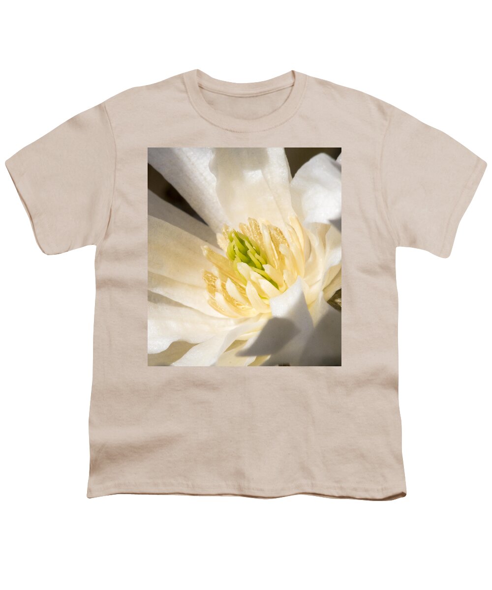 Arboretum Youth T-Shirt featuring the photograph Magnolia Flower - UW Arboretum - Madison - Wisconsin #2 by Steven Ralser