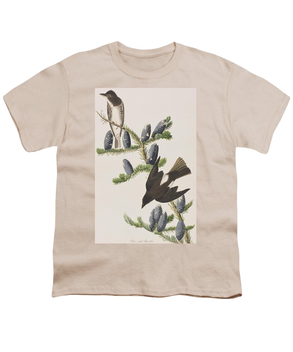 Olive Sided Flycatcher Youth T-Shirt featuring the painting Olive sided Flycatcher by John James Audubon