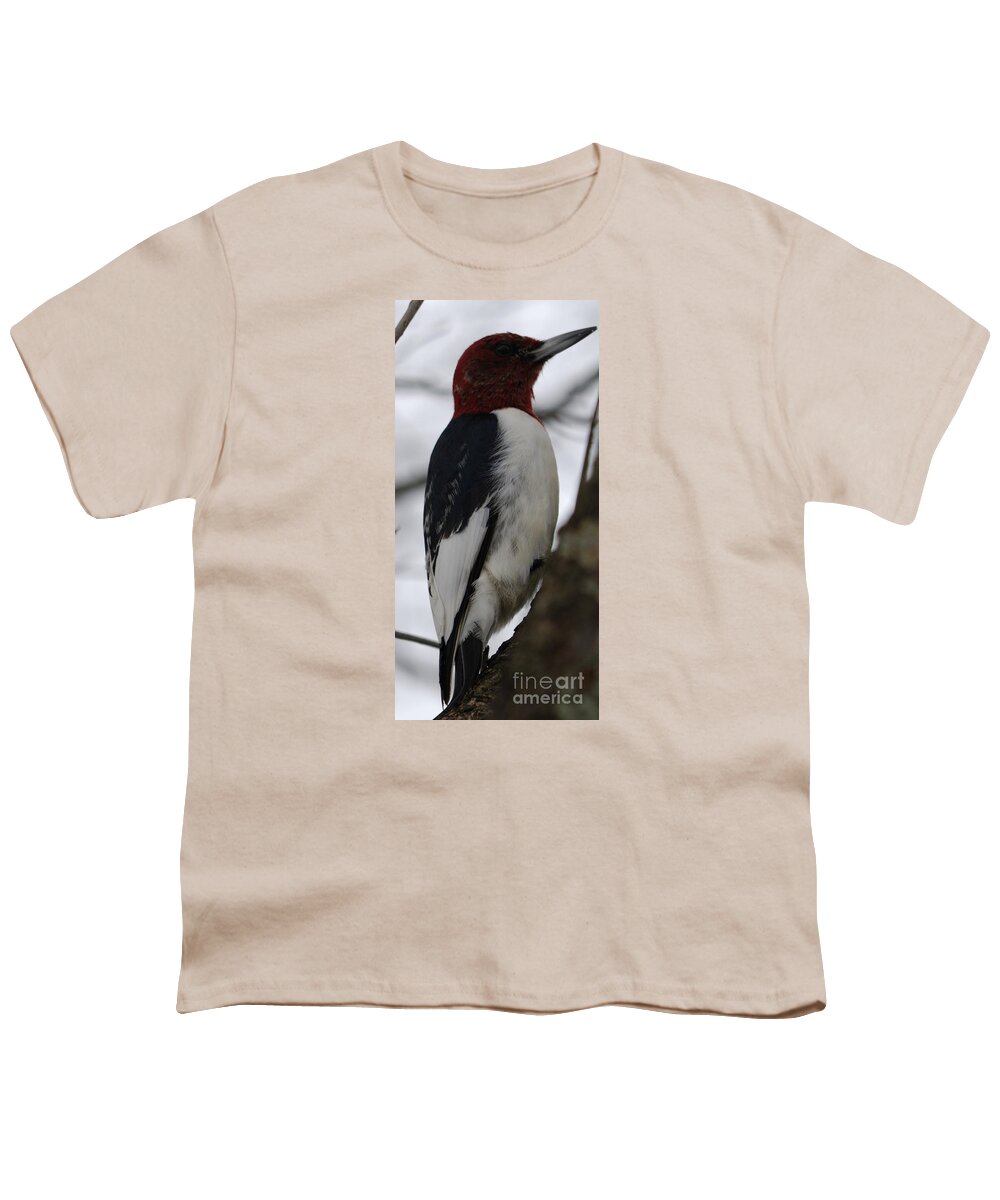 High Virginia Images Youth T-Shirt featuring the photograph Red-headed Woodpecker by Randy Bodkins