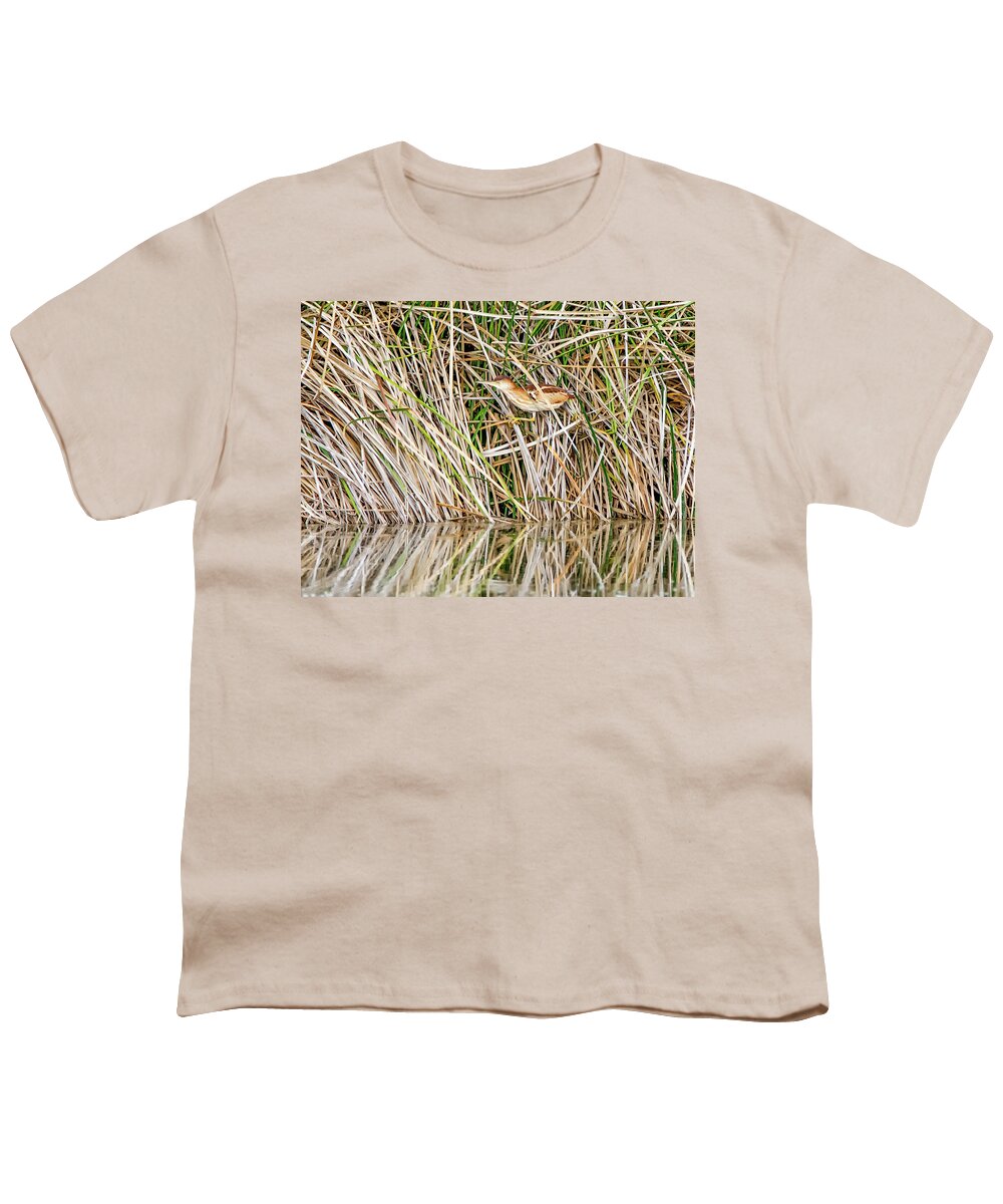 Least Youth T-Shirt featuring the photograph Least Bittern #16 by Tam Ryan