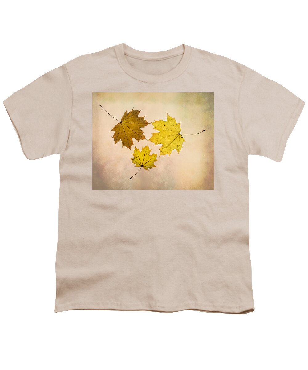 Leaves Youth T-Shirt featuring the photograph A Circle Of Autumn Leaves by Gary Slawsky