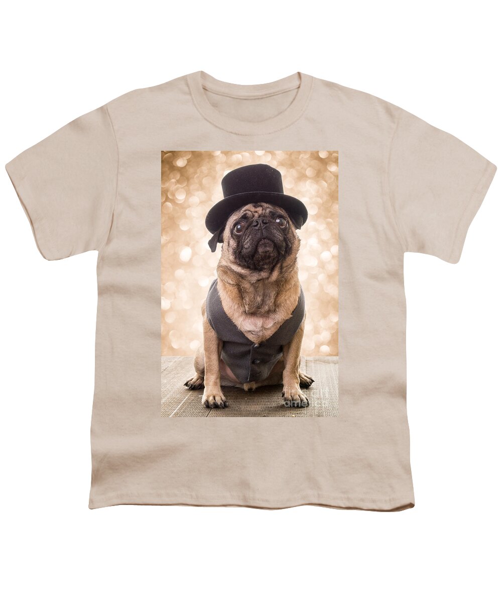 Pug Youth T-Shirt featuring the photograph A Star Is Born - Dog Groom by Edward Fielding