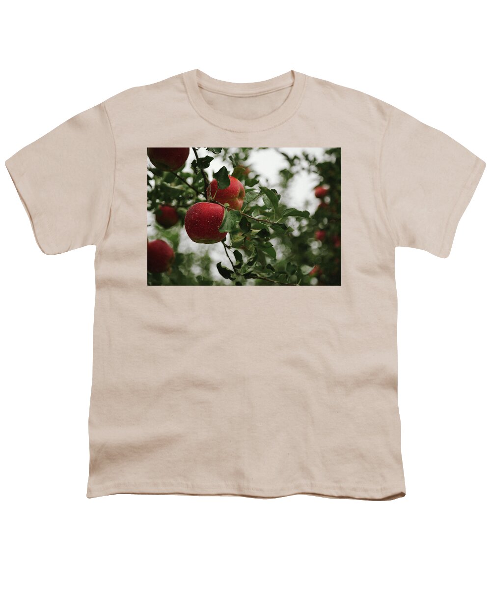 Fruit Youth T-Shirt featuring the photograph Apple tree by Hyuntae Kim