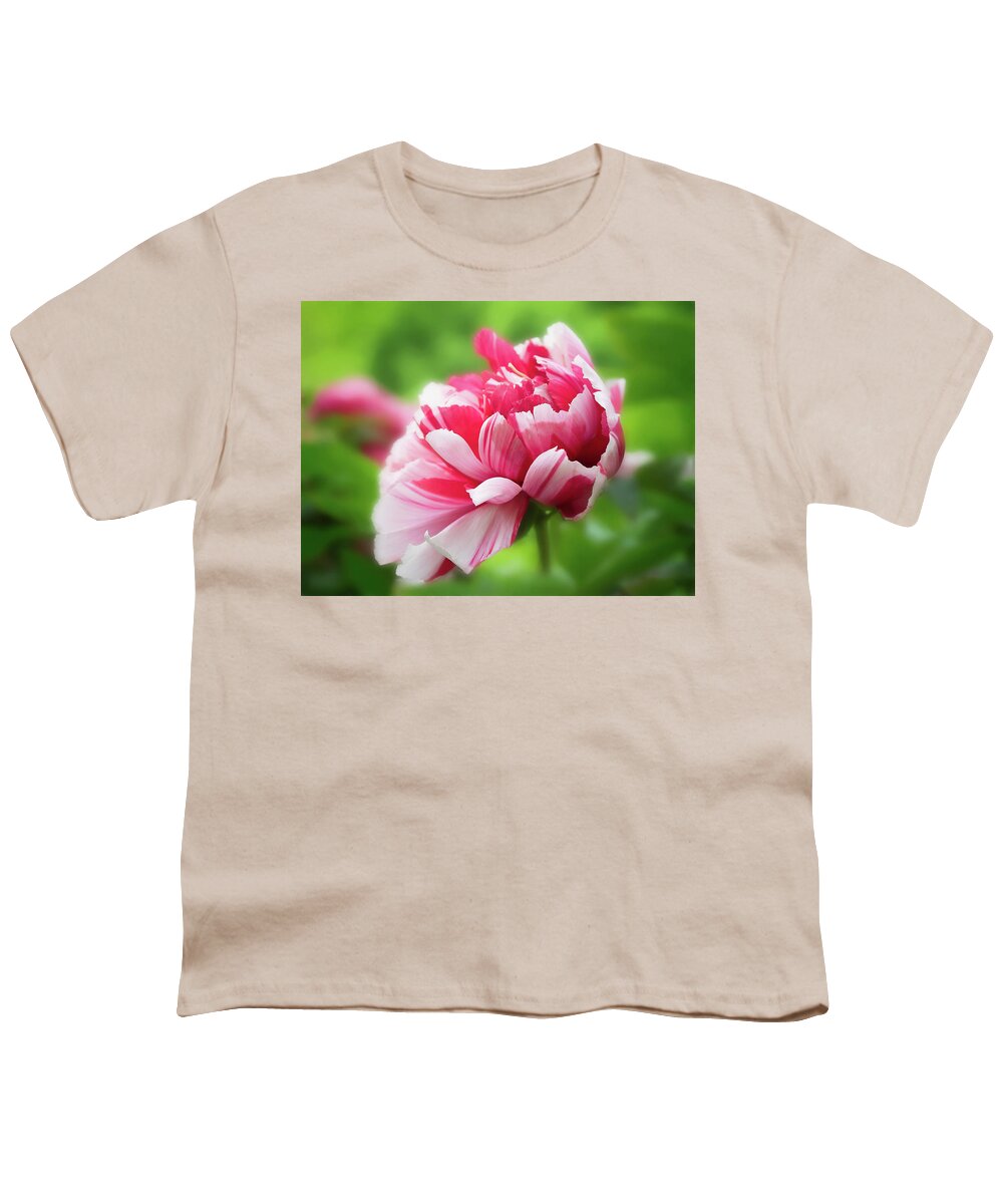 Asia Youth T-Shirt featuring the photograph As grand as it can be- Peony by Usha Peddamatham
