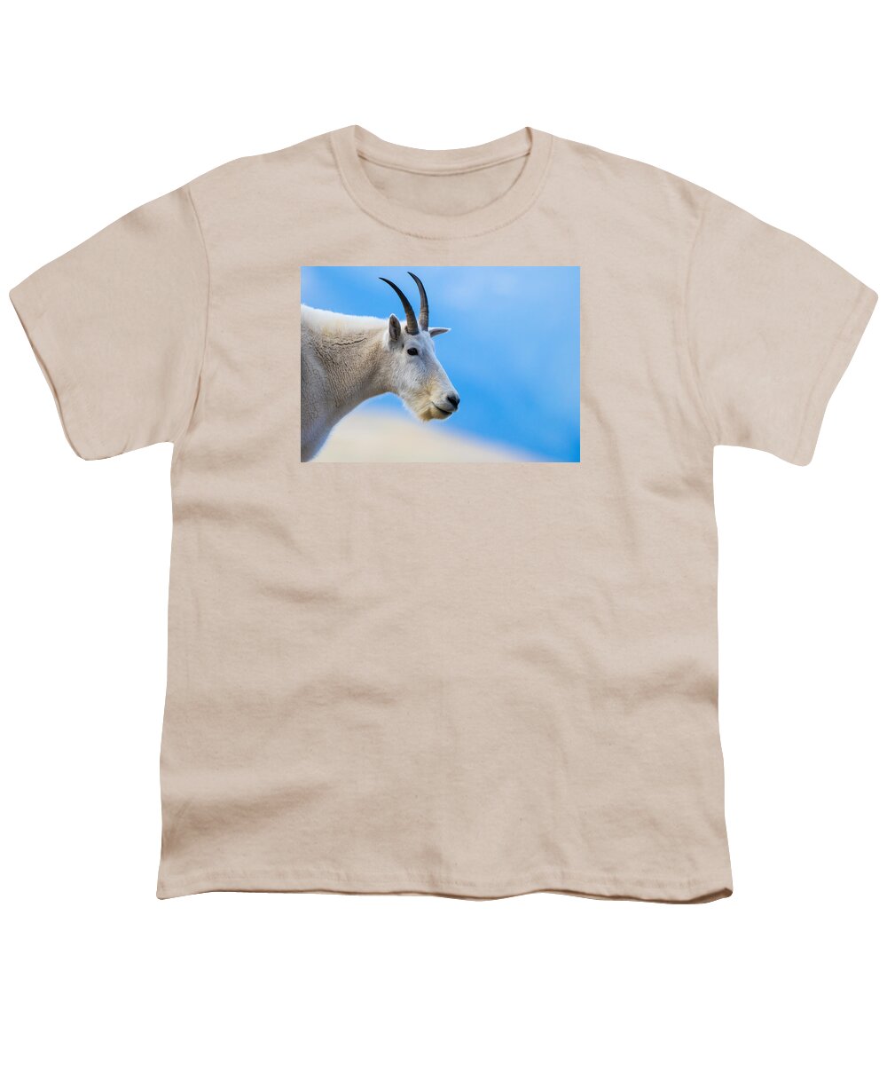 Mountain Goat Youth T-Shirt featuring the photograph At The Top Of The Rockies #1 by Mindy Musick King