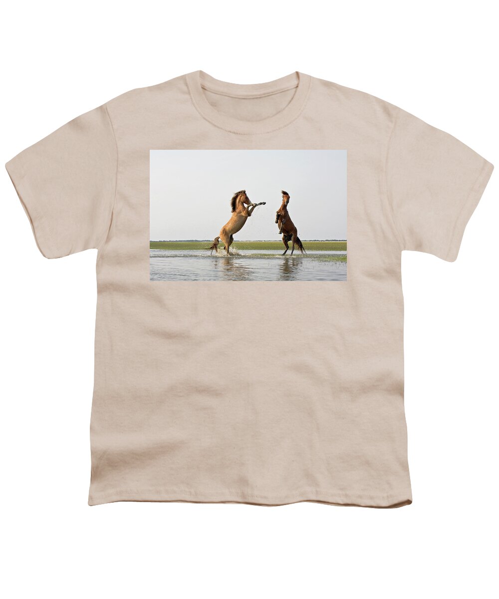 Wild Youth T-Shirt featuring the photograph Battling Mustangs by Bob Decker