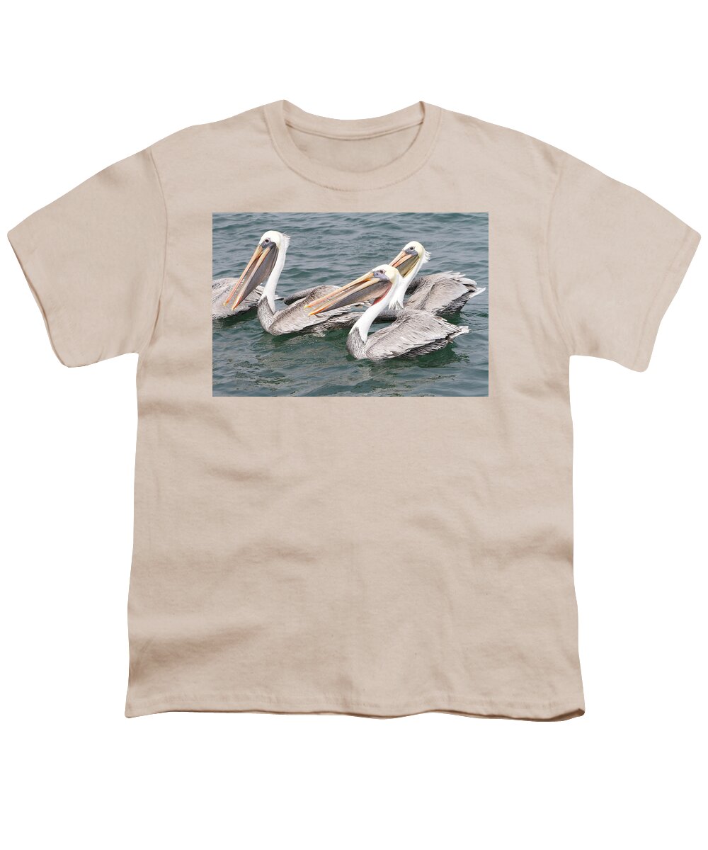 Pelican Youth T-Shirt featuring the photograph Begging For Food by Shoal Hollingsworth