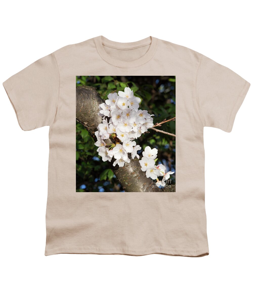 Washington Dc Youth T-Shirt featuring the photograph Blossom Bouquet I by Karen Jorstad