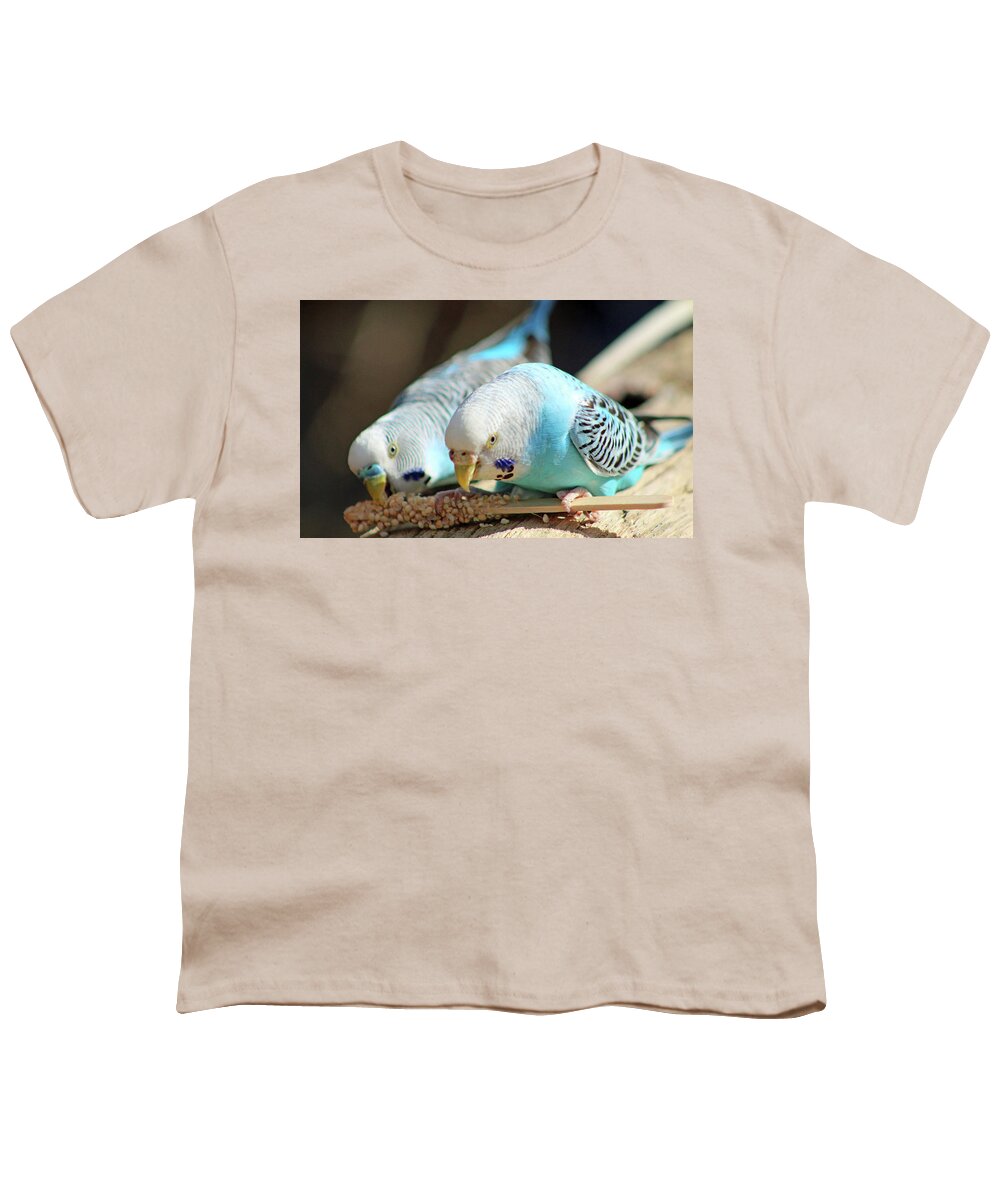 Budgie Youth T-Shirt featuring the photograph Budgies Snacking by Cynthia Guinn