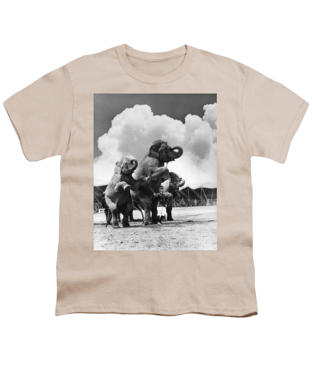 1930s Youth T-Shirt featuring the photograph Circus Trainer With Elephants, C.1930s by H. Armstrong Roberts/ClassicStock