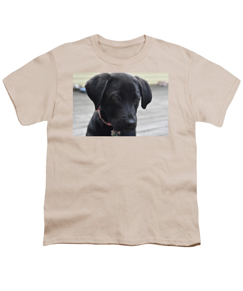 Labrador Youth T-Shirt featuring the photograph Close Up Look at a Black Labrador Retriever Pup by DejaVu Designs