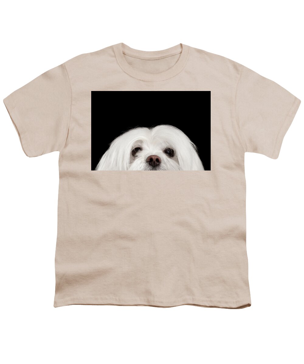 Maltese Youth T-Shirt featuring the photograph Closeup Nosey White Maltese Dog Looking in Camera isolated on Black background by Sergey Taran