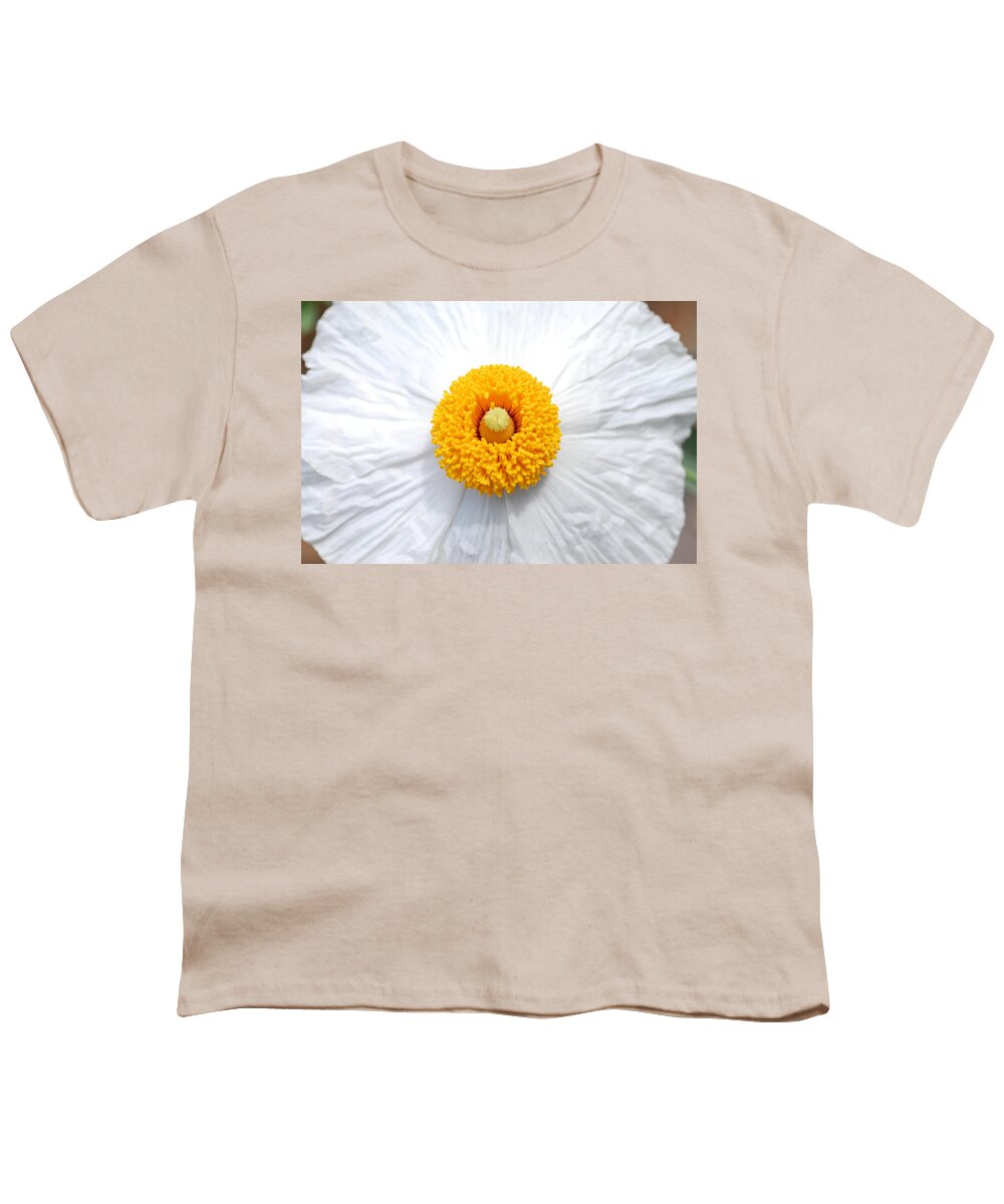 Flower Youth T-Shirt featuring the photograph Coulter's Poppy 1 by Amy Fose