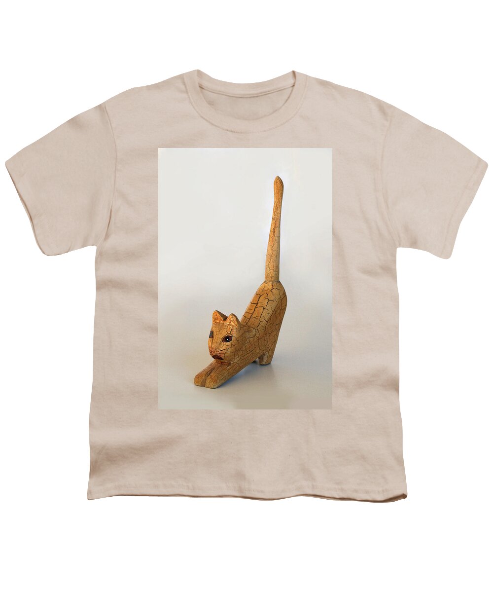 Crackle Youth T-Shirt featuring the photograph Crackle Cat 4 by Marna Edwards Flavell