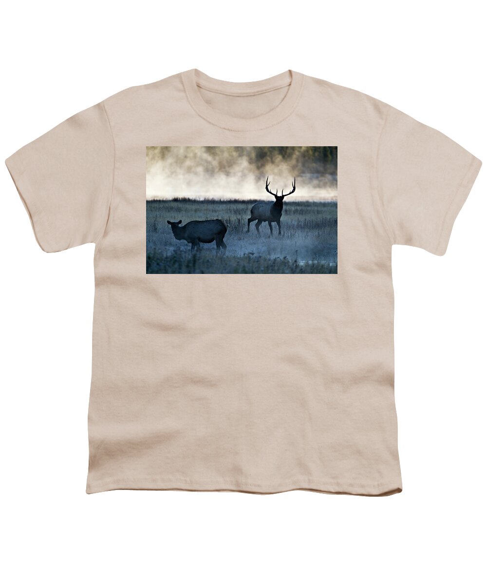 Elk Youth T-Shirt featuring the photograph Elk in the Mist by Wesley Aston