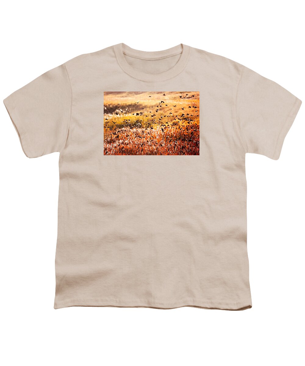 Fall Youth T-Shirt featuring the photograph Fall Flock by Todd Klassy