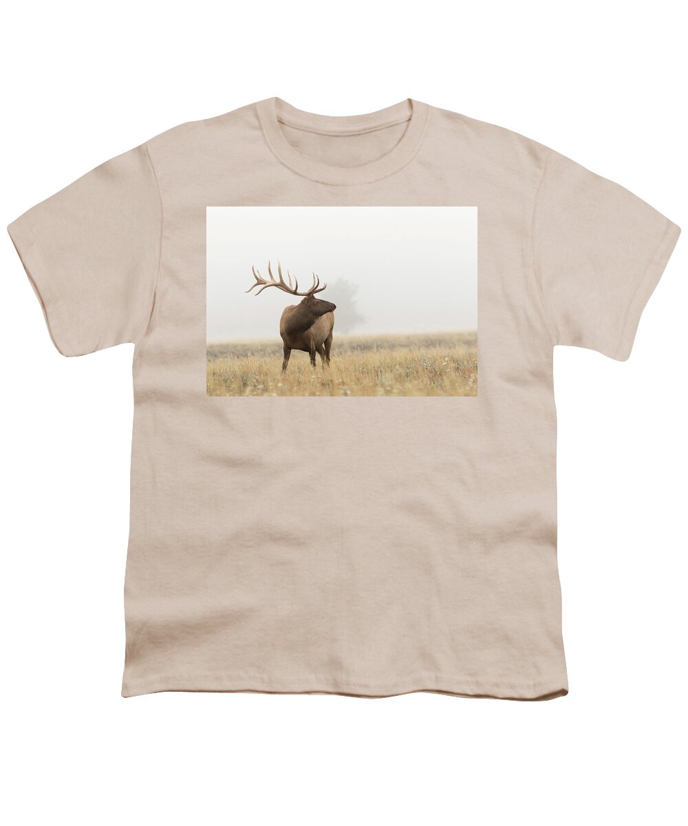 Animals Youth T-Shirt featuring the photograph Foggy Morning by Ronnie And Frances Howard