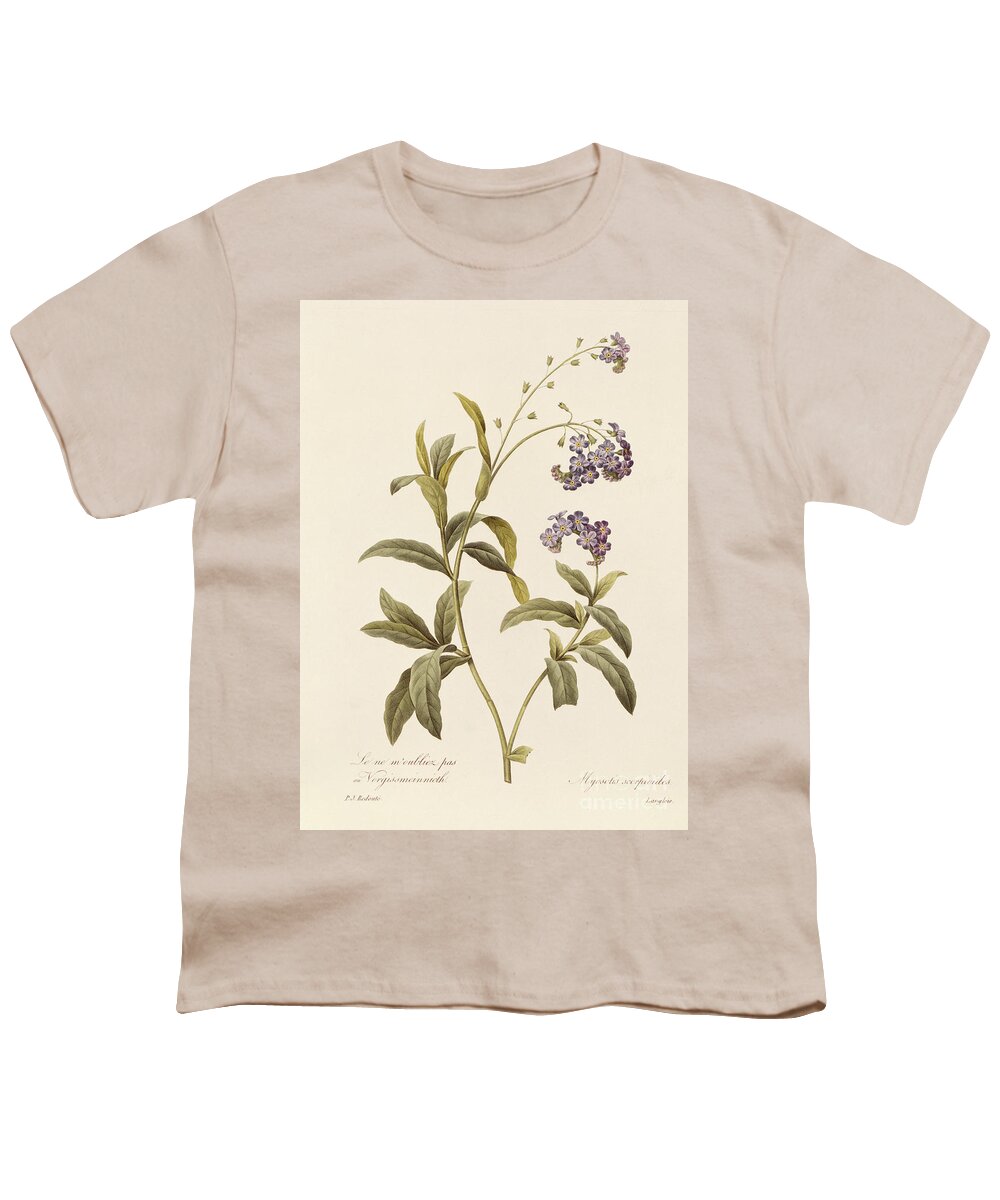 Forget-me-not Youth T-Shirt featuring the drawing Forget Me Not by Pierre Joseph Redoute