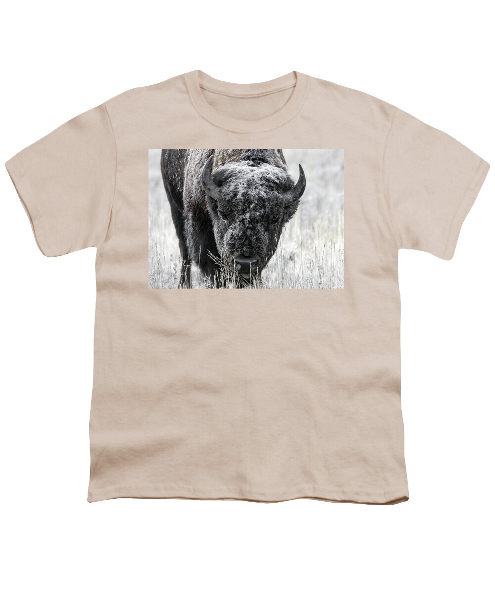 Bison Youth T-Shirt featuring the photograph Frosted Over by Ronnie And Frances Howard