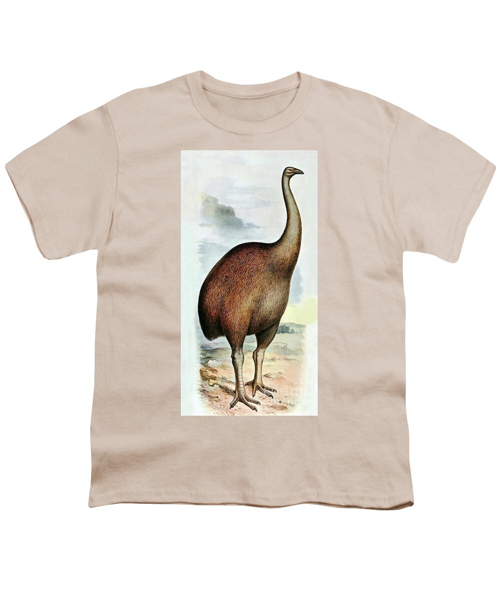 Aves Youth T-Shirt featuring the photograph Giant Moa Dinornis Ingens, Cenozoic Bird by Biodiversity Heritage Library