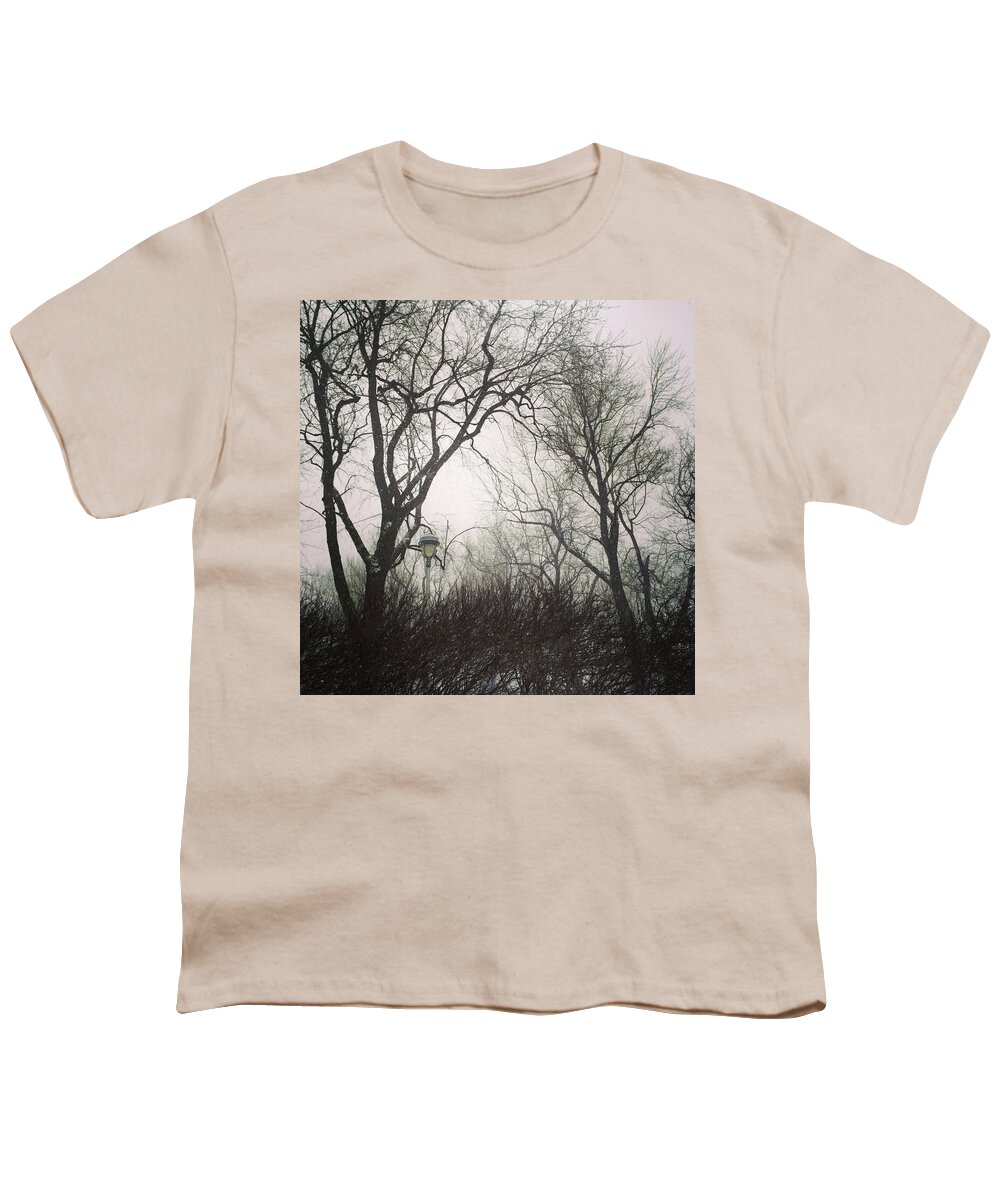 Tree Youth T-Shirt featuring the photograph Gloomy trees against cloudy sky by GoodMood Art