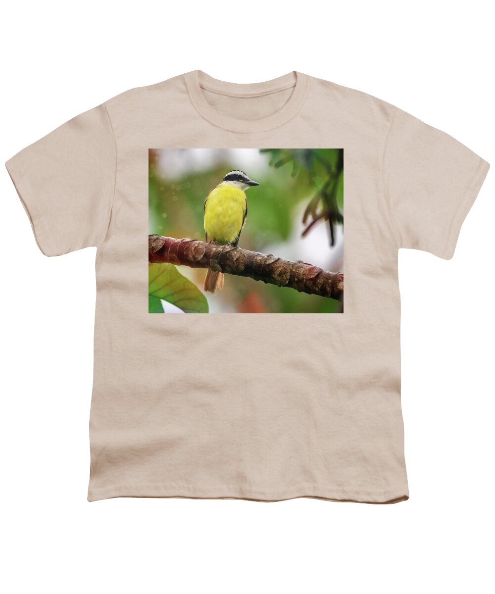 Joan Carroll Youth T-Shirt featuring the photograph Great Kiskadee Costa Rica by Joan Carroll