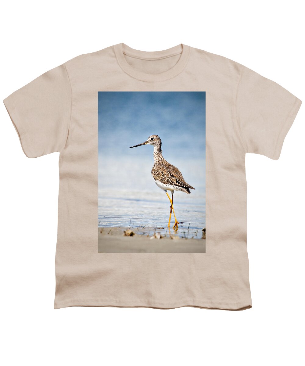 Bird Youth T-Shirt featuring the photograph Greater Yellow Legs at Rachel Carson Estuarine Reserve by Bob Decker