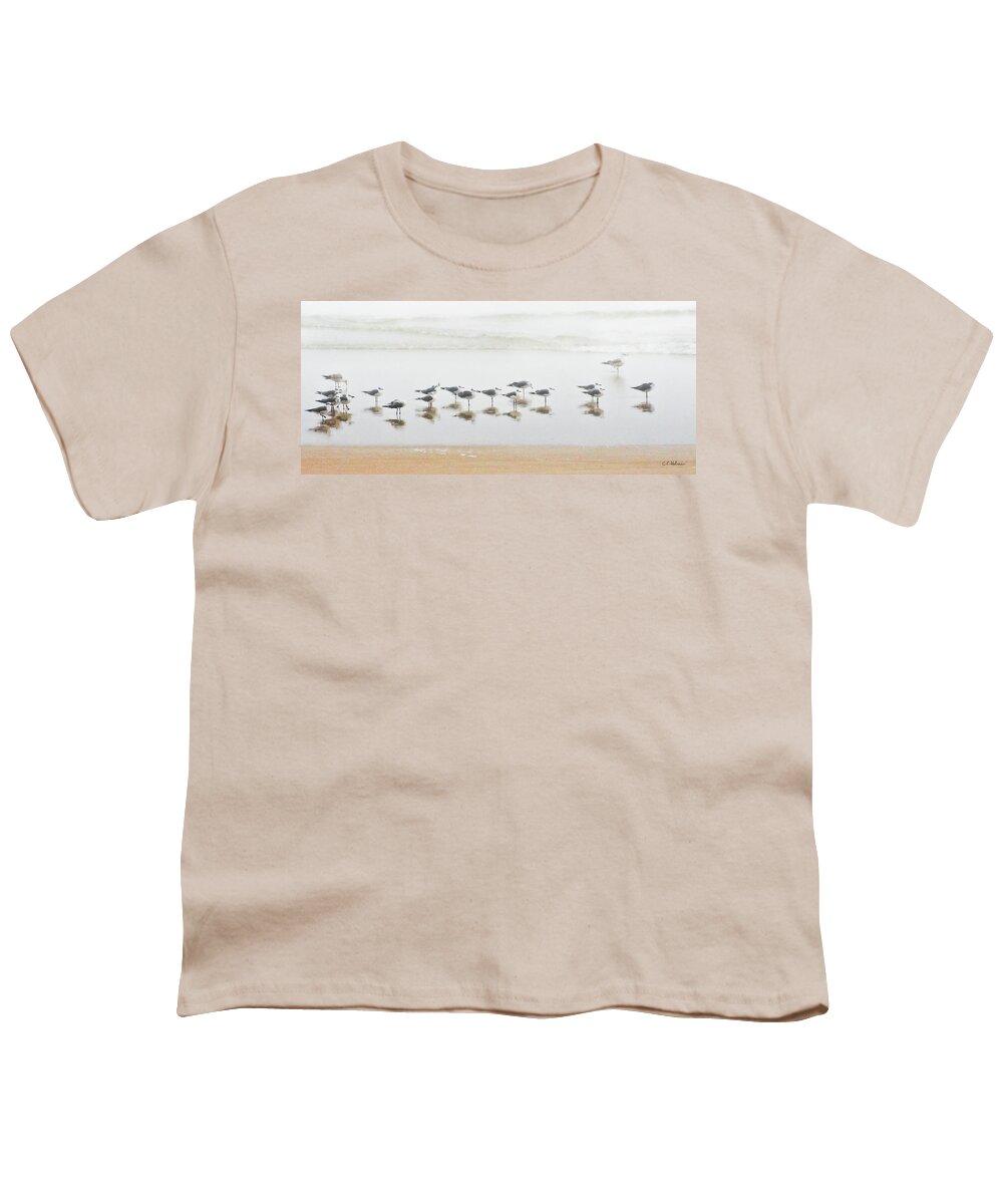 Birds Youth T-Shirt featuring the photograph Grounded By Fog by Christopher Holmes