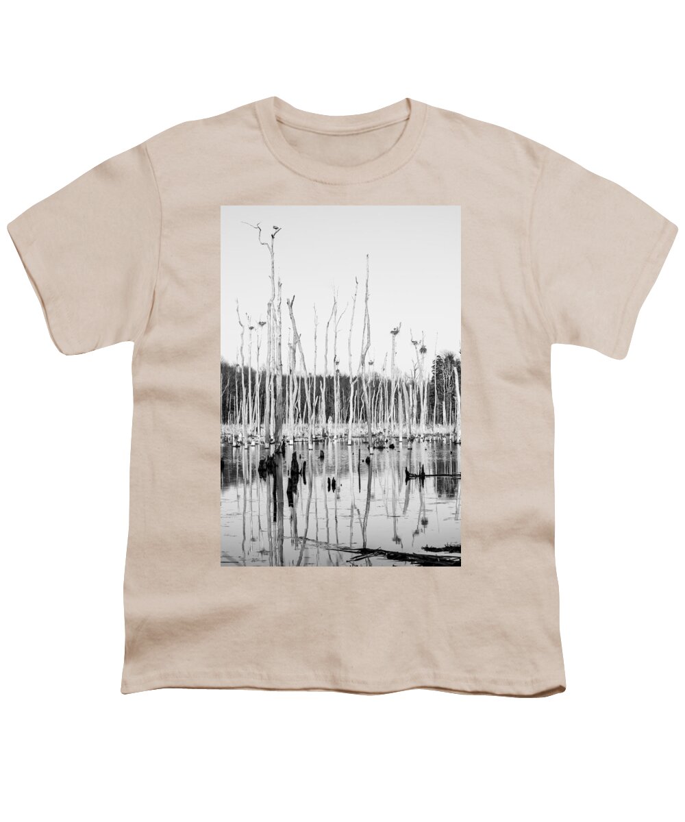Heron Hatchery Youth T-Shirt featuring the photograph Heron Hatchery by Tracy Winter