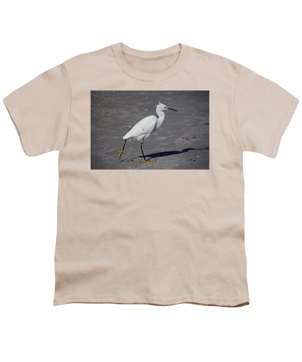 Snowy Egret Youth T-Shirt featuring the photograph In Cold Pursuit by Michiale Schneider