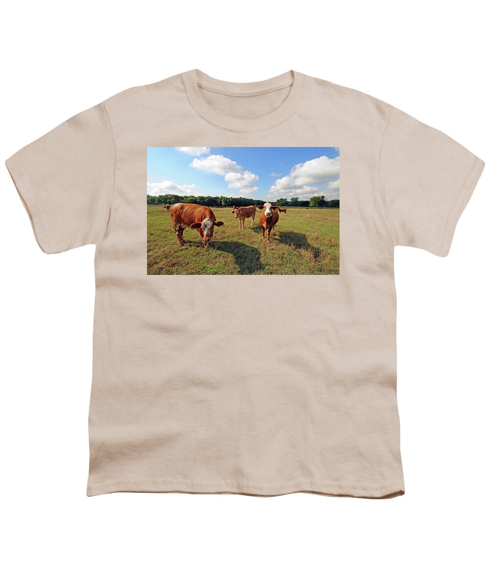 Inquisitive Youth T-Shirt featuring the photograph Inquisitive Cattle by Ted Keller