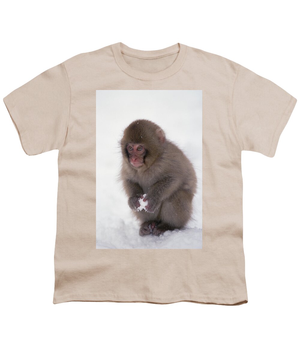 Mp Youth T-Shirt featuring the photograph Japanese Macaque Macaca Fuscata Baby by Konrad Wothe